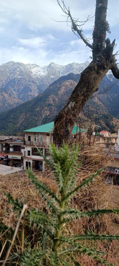 Sahaj Homestay Naddi Dharamshala Exterior photo